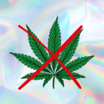 Cannabisverbot auf Landjugend-Veranstaltungen Cannabisverbot auf Landjugend-Veranstaltungen